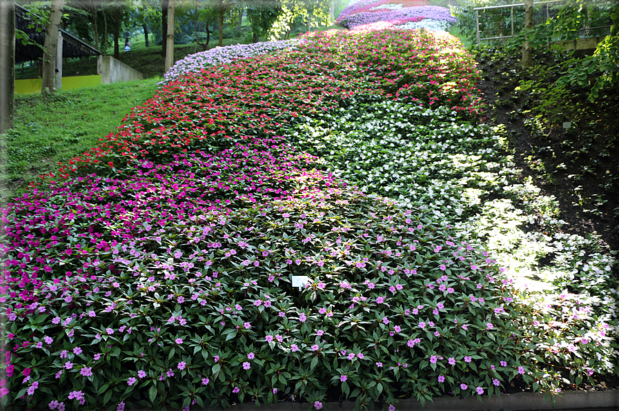 foto Giardini Trauttmansdorff - Boschi del Mondo